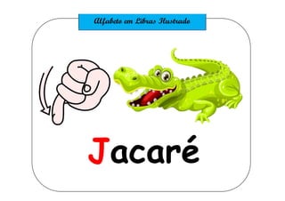 Jacaré
 