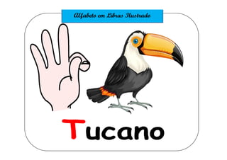 Tucano
 