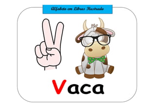 Vaca
 