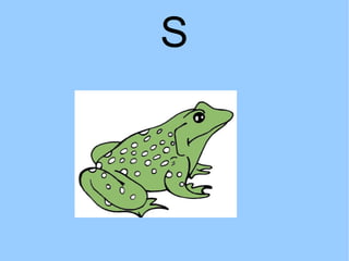 S 