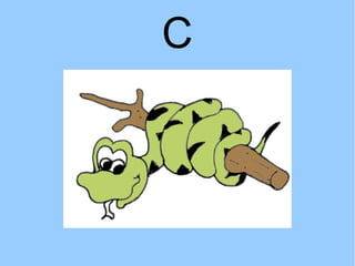 C 