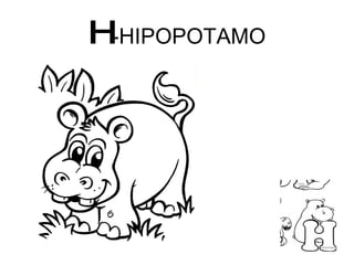 H -HIPOPOTAMO 