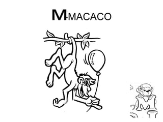 M -MACACO 