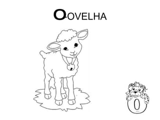 O -OVELHA 