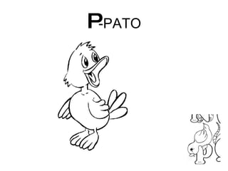 P -PATO 