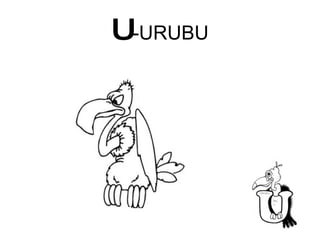 U -URUBU 