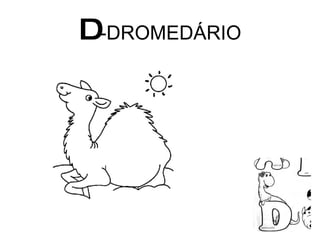 D -DROMEDÁRIO 