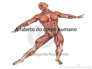Alfabeto do corpo humano



   Ana Margarida Rosa Ramos
 