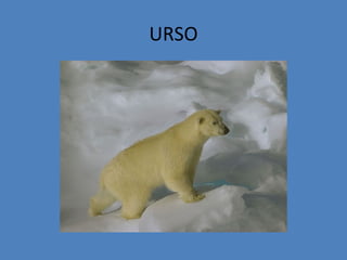 URSO
 