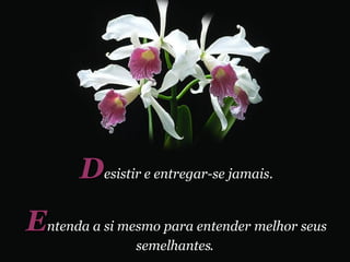 E ntenda a si mesmo para entender melhor seus semelhantes .   D esistir   e entregar-se jamais. 