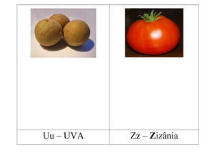 Uu – UVA   Zz – Zizânia
 