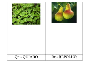 Qq - QUIABO   Rr - REPOLHO
 