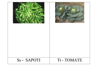 Ss - SAPOTI   Tt - TOMATE
 