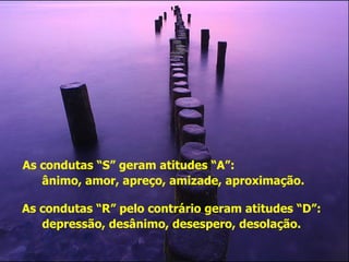 As condutas “S” geram atitudes “A”:  ânimo, amor, apreço, amizade, aproximação. As condutas “R” pelo contrário geram atitudes “D”:  depressão, desânimo, desespero, desolação.  
