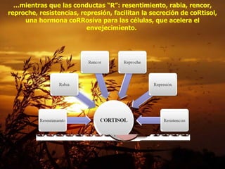 … mientras que las conductas “R”: resentimiento, rabia, rencor, reproche, resistencias, represión, facilitan la secreción de coRtisol, una hormona coRRosiva para las células, que acelera el envejecimiento.  