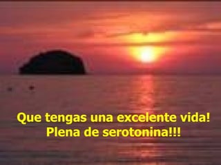 Que tengas una excelente vida! Plena de serotonina!!! 