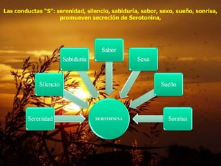 Las conductas “S”: serenidad, silencio, sabiduría, sabor, sexo, sueño, sonrisa, promueven secreción de Serotonina,