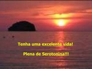 Tenha uma excelente vida!  Plena de Serotonina!!! 