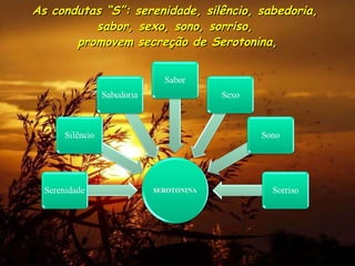 As condutas “S”: serenidade, silêncio, sabedoria,  sabor, sexo, sono, sorriso,  promovem secreção de Serotonina, 