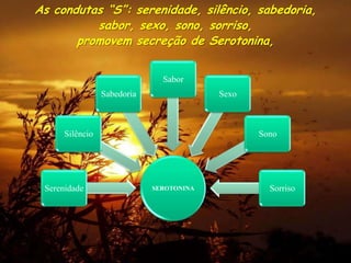 As condutas “S”: serenidade, silêncio, sabedoria,
          sabor, sexo, sono, sorriso,
       promovem secreção de Serotonina,


                               Sabor
                 Sabedoria                Sexo



      Silêncio                                   Sono




 Serenidade                  SEROTONINA            Sorriso
 