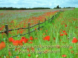 Que tengas una excelente vida!Que tengas una excelente vida!
Plena de serotonina!!!Plena de serotonina!!!
 