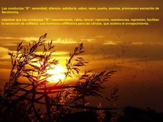 Las conductas “S”: serenidad, silencio, sabiduría, sabor, sexo, sueño, sonrisa, promueven secreción de
Serotonina,
mientras que las conductas “R”: resentimiento, rabia, rencor, reproche, resistencias, represión, facilitan
la secreción de coRtisol, una hormona coRRosiva para las células, que acelera el envejecimiento.
 