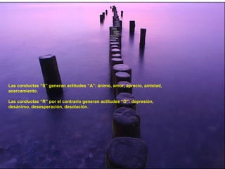 Las conductas “S” generan actitudes “A”: ánimo, amor, aprecio, amistad,
acercamiento.
Las conductas “R” por el contrario generan actitudes “D”: depresión,
desánimo, desesperación, desolación.
 