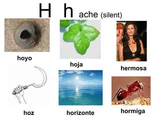 H  h   ache  (silent) hermosa hormiga horizonte hoz hoja hoyo 