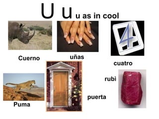 U u   u as in cool cuatro rubì uñas puerta Puma Cuerno 