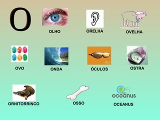 ONDA
OSSOORNITORRINCO
OLHO
OCEANUS
ORELHA OVELHA
ÓCULOSOVO OSTRA
 