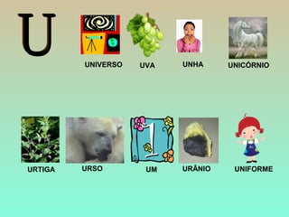 UNHA
URTIGA URSO
UNICÓRNIO
URÂNIO
UVA
UNIFORME
UNIVERSO
UM
 