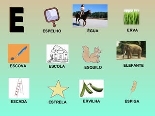 ERVILHA
ÉGUA
ESCOLA ELEFANTE
ESCADA
ESPELHO
ESCOVA
ERVA
ESTRELA ESPIGA
ESQUILO
 