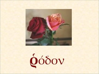 ῥ όδον 