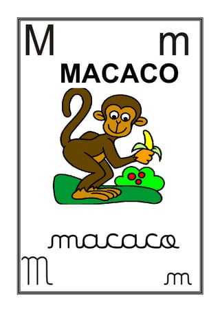 MACACO
macaco
 