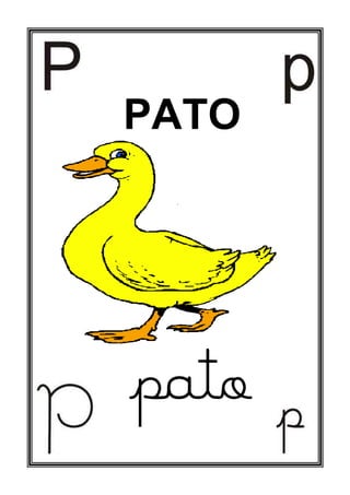 pato
PATO
 
