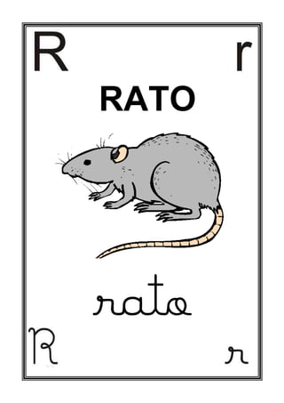 RATO
rato
 