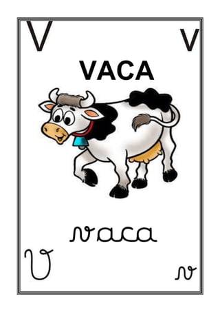 vaca
VACA
 