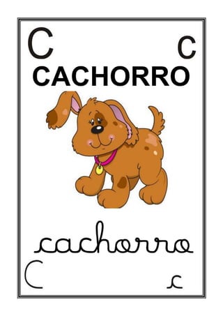 CACHORRO
cachorro
 