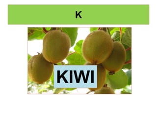K
KIWI
 