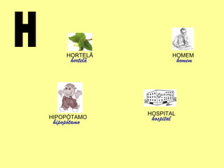 H HORTELÃ hortelã HIPOPÓTAMO hipopótamo HOSPITAL hospital HOMEM homem 