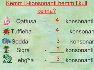 Kemm il-konsonanti hemm f’kull kelma? Qattusa  -  _____ konsonanti Tuffie ħ a -  _____ konsonanti Sodda  -  _____ konsonanti Si ġ ra  -  _____ konsonanti | ebg ħ a  -  _____ konsonanti 4 4 3 3 3 
