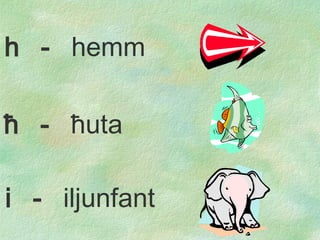 ħ   -  ħ uta i  -  il junfant h  -  hemm 