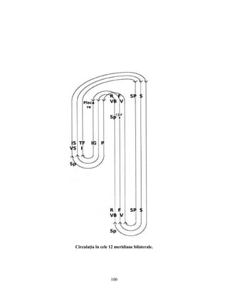 Circulaţia în cele 12 meridiane bilaterale.
Pleca
re
R F SP S
VB V
Sp
IS TF IG P
VS I
Sp
R F SP S
VB V
Sp
100
 