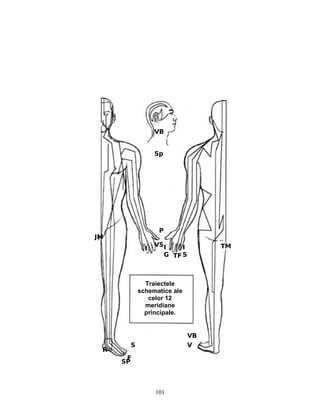 JM
VB
Sp
TM
P
I
VS I
STF
I
G
R
S V
VB
Traiectele
schematice ale
celor 12
meridiane
principale.
SP
101
F
 