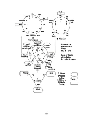 Zai
n
Nu
n
adŢ
i
Tet
Vav
AinLamedHet
Hei
Yod
Sameh
Kof
adŢ
i
Zai
n
Lamed
Het
Nu
n
Tet
Kof
Hei
Sameh
Yod
Ain
TF
12
Meridiane
5 Mişc riă
Ghimel
pancreas
endocrin
Tav
tiroid /ă
paratiroidă
Alef
hipofiză
Şin
epifiză
Mem
hipotala
mus
Dalet
timus
Kaf
suprare
nale
Beit
ovare
Pei
uter
Reiş
membru
Mem Şin
Alef
3
Focare
S
S
P
V
B
F
V
R
IG
P
IS
I
I IS
V
R
S
P
S
IG
P
F VB
TF
VS
La centru
generarea
după
HO T ' Ou.
La periferie
circula iaţ
în cele 8 vase.
FS FI
FM
3 litere
mame7 litere
duble
12 litere
simple5 litere
finale
adiŢ
D4
VavD7
Ain
D1
Tet
D2
Nun
D10
Lame
dC6
Tav
OC /
C1
Mem
LS /
S1
adeŢ
D6
adeŢ
D9
Het
Same
h
D12
Kof
107
 