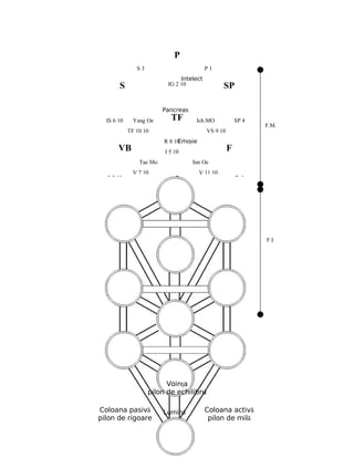 121
P
S SP
VB F
I
TF
V R
IS
IG
Intelect
Emoţie
Acţiune
P 1S 3
SP 4
P 1
VB 9F 10
R 8
I 5 V 7
IG 2 10
IG 2 10
IS 6 10
S 3 10
Tae Mo
V 7 10
Inn Oe
V 11 10
Pancreas
Yang Oe Ich.MO
I 5 10
R 8 10
TF 10 10 VS 9 10
YTM ITM
SP 4 10
F 12 10
F.M.
F.I.
Lumină
Voinţa
pilon de echilibru
Coloana pasivă
pilon de rigoare
Coloana activă
pilon de milă
 