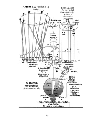 I
G
S
R
G
V
TFVB
F
P
Informa iţ
e
Nutri iţ
e
8
Antene
Cosmo
Telurice
20
Foc
TF
Lemn
F VB
Foc
I IS P mă
ântS
P S
P
IG
Met
al
R V
Apă
3h 5h 7h 9h 11h 13h 15h 17h
19h 21h 23h 1h
P IS S SP I IS V R
VS TF VB F
Lemn Ap Foc / 2ă 0
Foc
Metal P mântă
Rezervor sigilat al energiilor
ancestrale.
Circul pretutindeni.ă
3 Filtre
(T.R.)
Recep ieţ
Preînc lzireă
3 Transformatori
(T.F.)
Distibu ieţ
Fabricare
Eliminare
(Ciclu
permanent)
Menstr
e
S rură
i
Urine
8 Regulatori
hormonali
VH
MX
Ciclu lunar şi
ciclu zilnic
Tcho
ng
Mo
Inn
Oe
Clarinetul
Cantit ilorăţ
Ciclu zilnic.
YT
M
TM
Clarinetul
Calit ilorăţ
Ciclu zilnic.
Gânduri
Aer Alimente-
B uturiă
Y
O
Tae
Mo
J
M
ITM
JM TM
P H E A
IS
Epurar
e
E.IONG
E.WEI
I
P
S Sp
VB F
IS IG
R V
Alchimia
energiilor
Schema generală.
47
Antene : 12 Meridiane – 6
Straturi
Adapare climaticăSP I IS
12 Mişc riă (11
Componente)
Coresponden e :ţ
Somatice
Senzoriale
Emo ionaleţ
 
