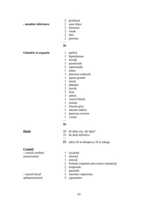 2 pisiformi
- membre inferioare 2 oase iliace
2 femururi
2 rotule
2 tibii
2 peronee
—
26
Glandele şi organele 1 epifiză
1 hipotalamus
1 tiroidă
1 paratiroide
2 suprarenale
1 timus
1 pancreas endocrin
1 aparat genital
1 inimă
2 plămâni
2 rinichi
1 ficat
1 splină
1 vezică biliară
1 stomac
1 intestin gros
1 intestin subţire
1 pancreas exocrin
1 vezică
—
26
Dinţii 20 de dinţi zişi „de lapte”
32 de dinţi definitivi
—
52 adică 26 la dreapta şi 26 la stânga
Craniul
- craniul cerebral 1 occipital
neurocraniul 1 sfenoid
1 etmoid
2 frontale (separate prin sutura metopică)
2 temporale
2 parietale
- craniul facial 2 maxilare superioare
splanenocraniul 2 zigomatice
63
 
