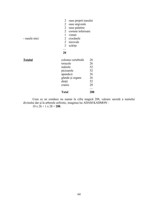 2 oase proprii nasului
2 oase ungveale
2 oase palatine
2 cornete inferioare
1 vomer
- oasele mici 2 ciocănele
2 nicovale
2 scăriţe
—
28
Totalul coloana vertebrală 26
toracele 26
mâinile 52
picioarele 52
apendicii 26
glande şi organe 26
dinţii 52
craniu 28
—
Total 288
Ceea ce ne conduce nu numai la cifra magică 288, valoare secretă a numelui
divinului dar şi la arborele sefirotic, imaginea lui ADAM KADMON :
10 x 26 + 1 x 28 = 288.
64
 