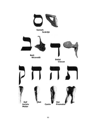 Sameh
Sc riă ţă
Beit
Nicovală
Dalet
Ciocan
Kof Het Hei Tav
Incisiv Canin Premolar
Molar
80
 